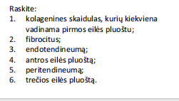 <p><span style="font-family: "Calibri Light";"><strong><span>Glaudusis taisyklingas skaidulinis (kolageninis) jungiamasis audinys&nbsp;</span></strong><span>(sausgyslės išilginis Spjūvis)</span></span></p>