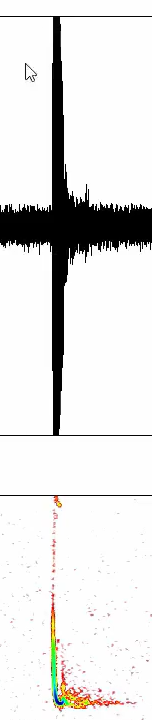 <p>Very loud calls may cause the power spectrum to fail to record correctly and display a single band instead of a call</p>