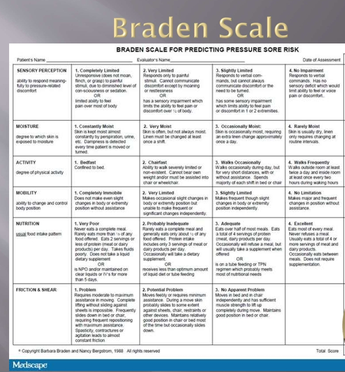 <p>Braden Scale: Friction and Shear </p>
