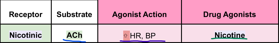 <p>Tip Gal p. 46&nbsp;<br>- Location: Nm =&nbsp;on <span style="color: rgb(135, 4, 16);">skeletal muscles</span></p>