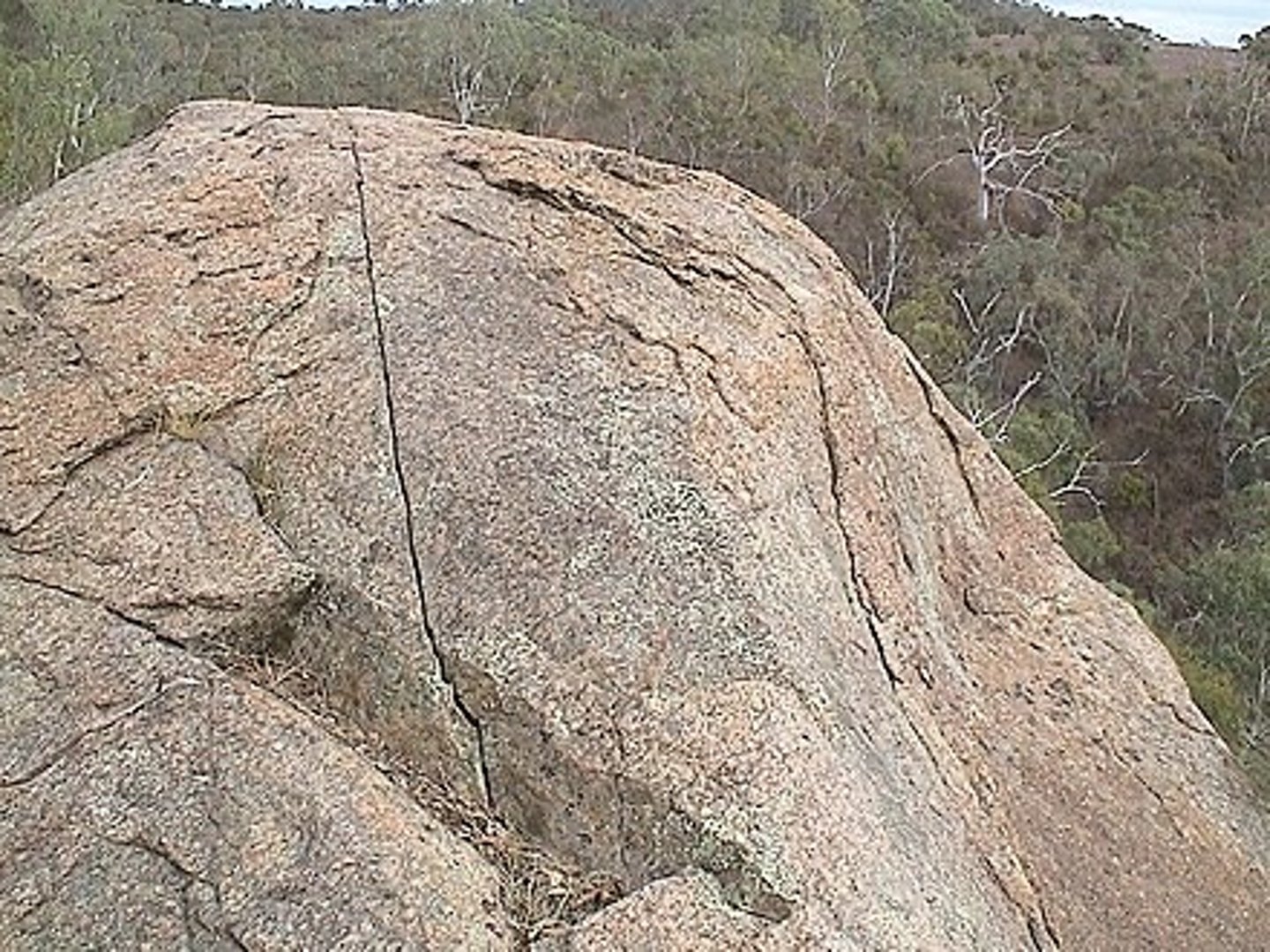 <p>A brittle-fracture surface in rocks along which little or no displacement has occurred.</p>