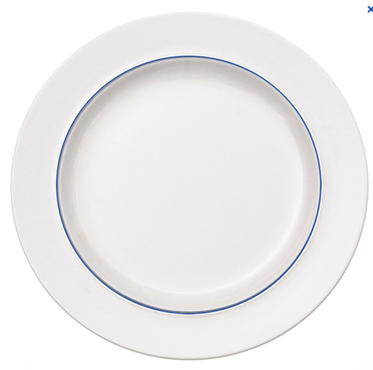 <p>a plate</p>