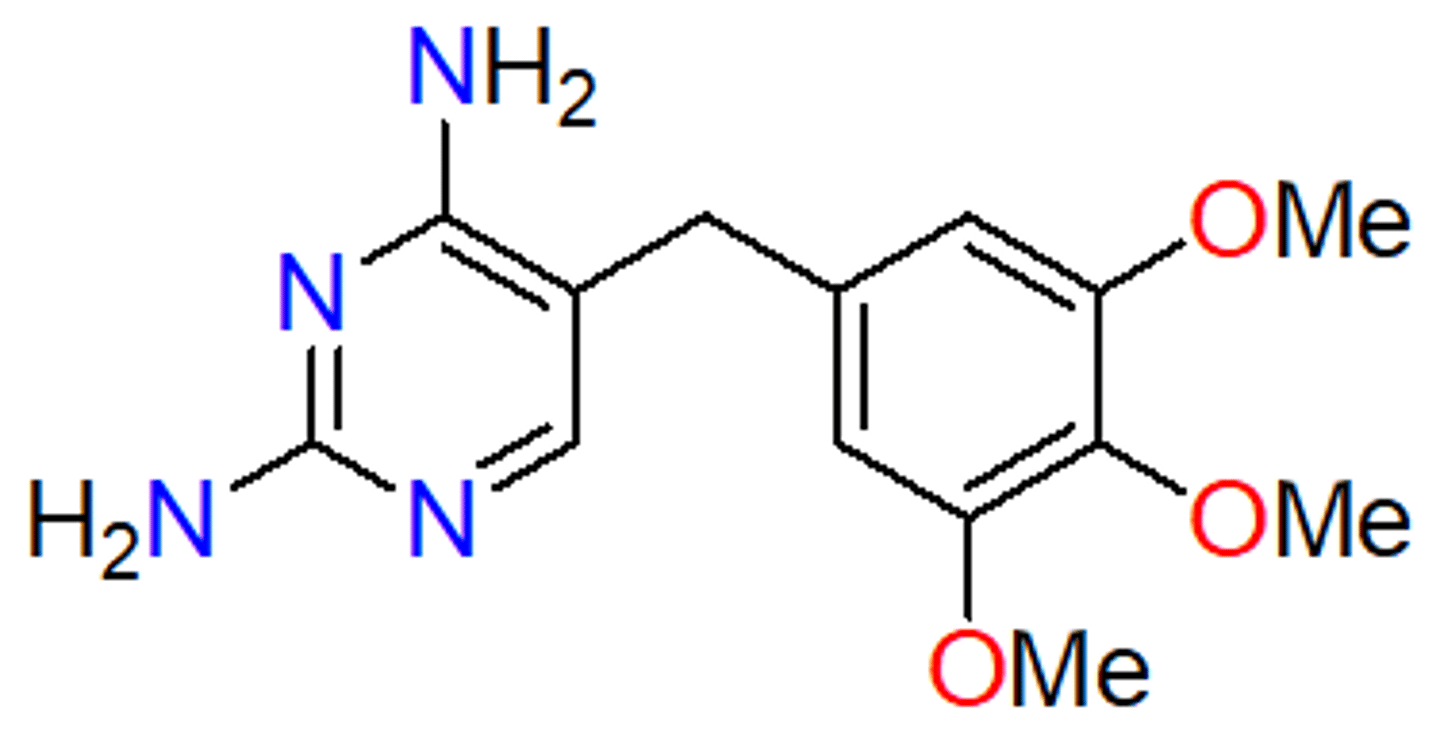 <p>- inhibits dihydrofolate reductase (folate biosynthesis) - no bonds, traditional competitive inhibitor</p><p>- antifolate (similar to sulfonamides)</p><p>- selective for bacterial DHFR</p><p>- bacteriostatic to bactericidal (kills bacteria, more powerful)</p><p>- sulfa and trimethoprim static agents used alone - cidal when used together (synergistic combination) - resistance pops up more slowly but still present</p><p>- specific for prokaryotic enzymes</p><p>- reflect small metabolites in the cell</p><p>- binds more strongly than folate, but cannot be reduced </p><p>- no activity against our enzyme</p><p>- good against E. coli and Staph aureus - UTIs --> always used as a combination (Bactrim)</p>