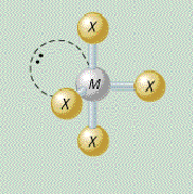 <p>AX₄E₂ shape</p>