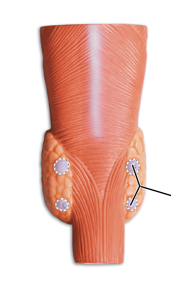 <p>What is this?</p>