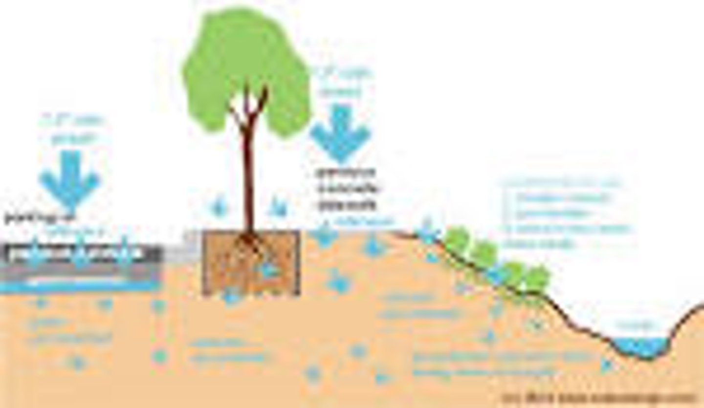 <p>The process by which water on the ground surface enters the soil.</p>