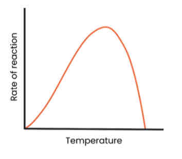 <p>Describe and explain the effect of temperature on the rate of enzyme-controlled reactions</p>