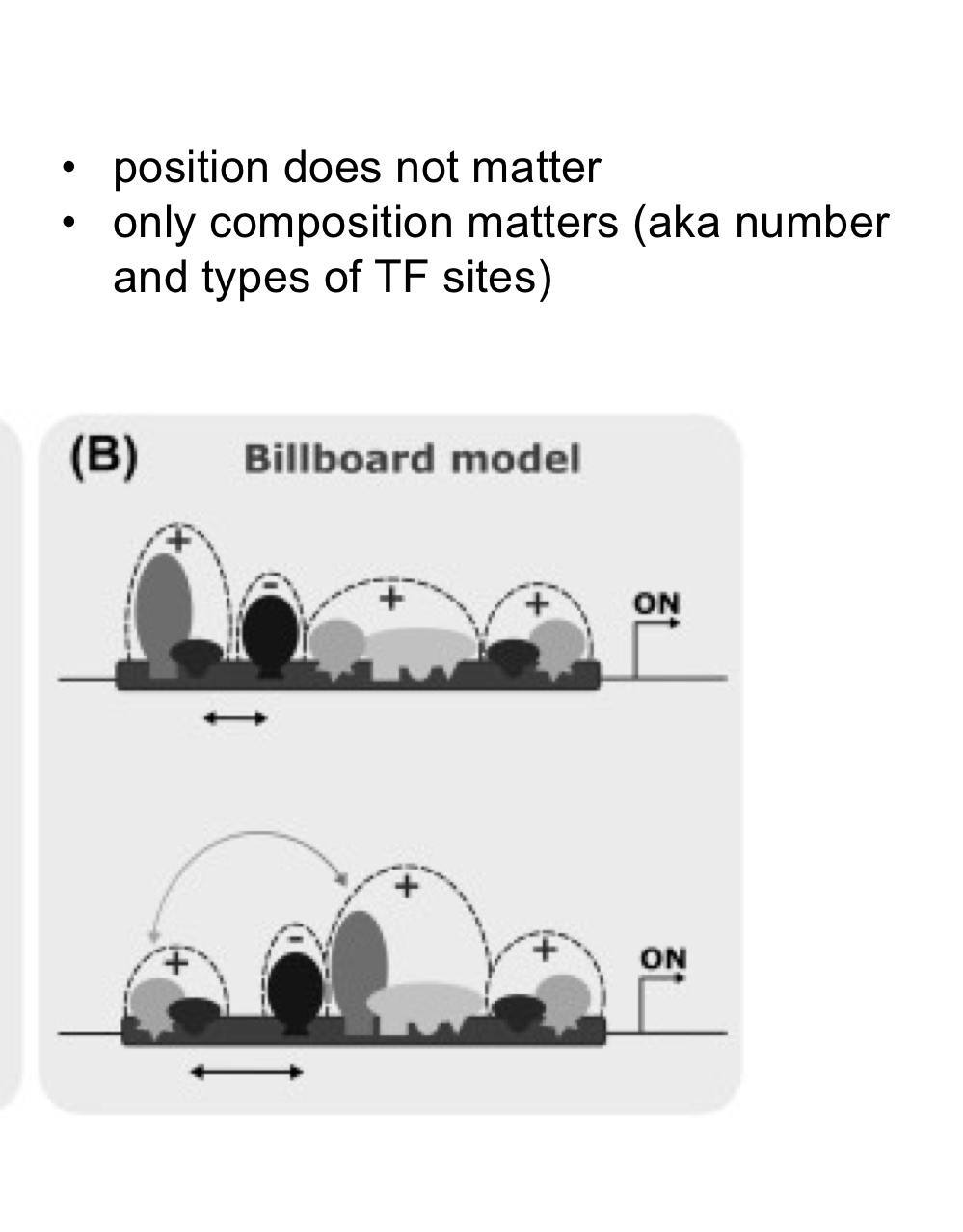 <p>In this model composition (number and types of binding sites) matters, but <strong>positioning does NOT matter</strong>. It's more <strong>flexible</strong>.</p>