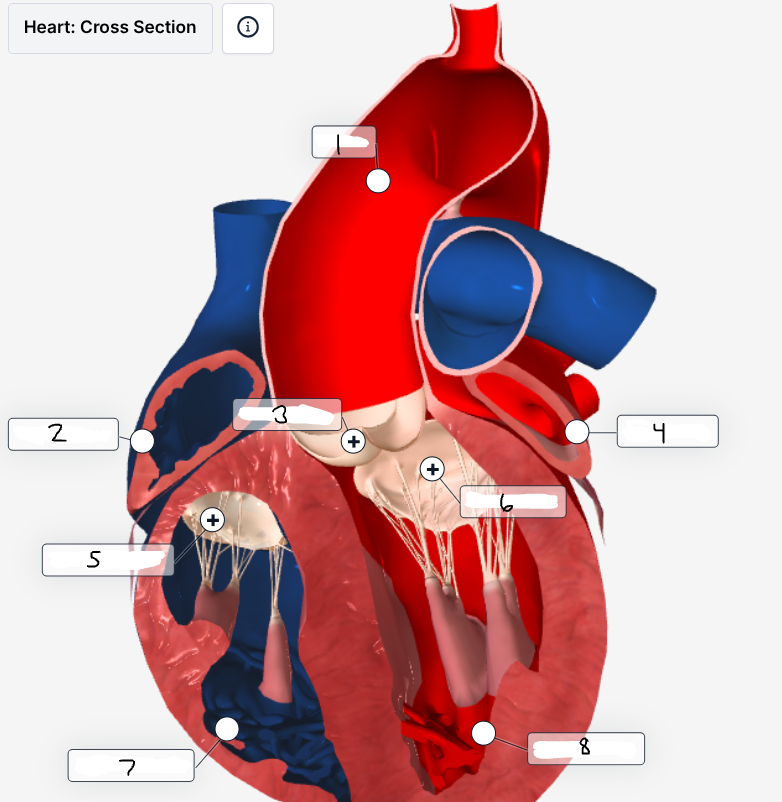 <p>Label the cross section</p>