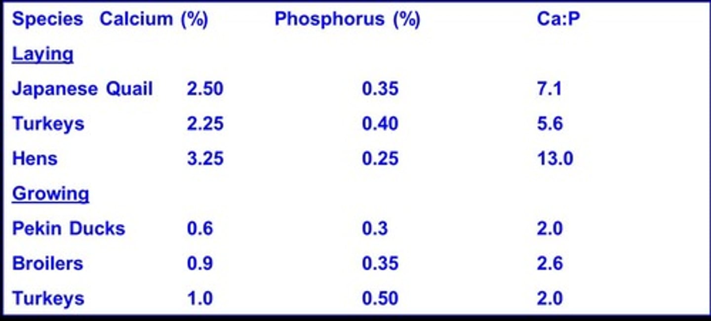 <p>Different for laying versus growing birds.</p>