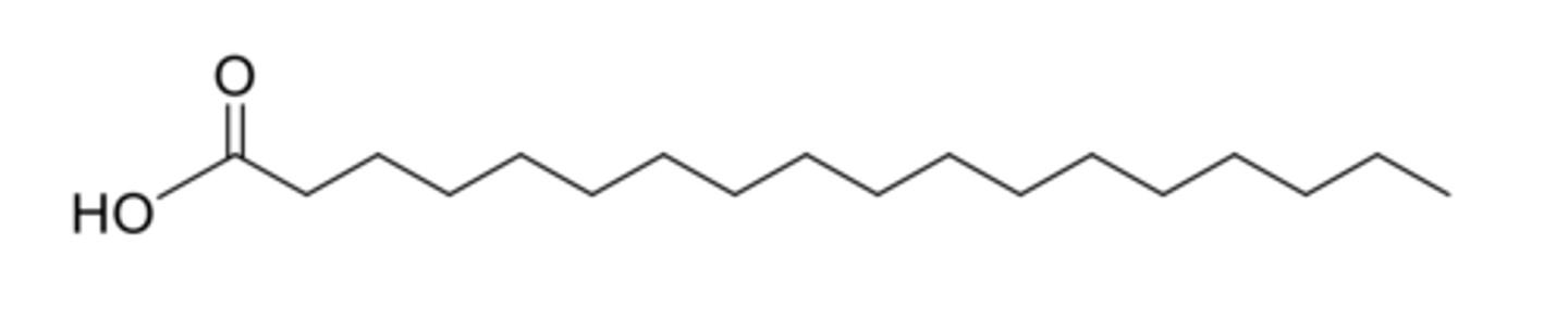<p>- Contain no double bonds.</p><p>- Generally unbranched.</p><p>- Contain an even number of carbon atoms.</p>