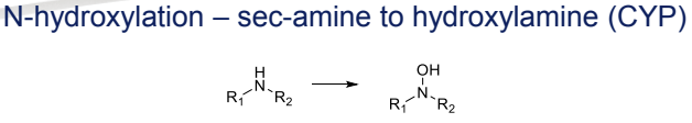 <p>Conversion to hydroxylamines, catalyzed by CYP </p>