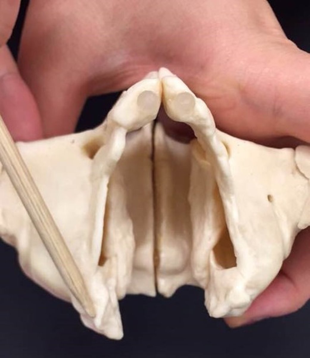 knowt flashcard image