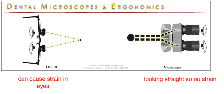 <p>microscrope</p>