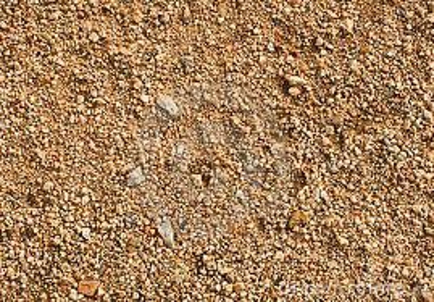 <p>coarse, sandy soil absorbs and transfers water rapidly <br>... animal and plant root activity creates discrete "pipes" within the soil that increase rate of transfer <br><br>this can contribute to flood hazards as such soils have low field capacities <br>(retain little water)</p>