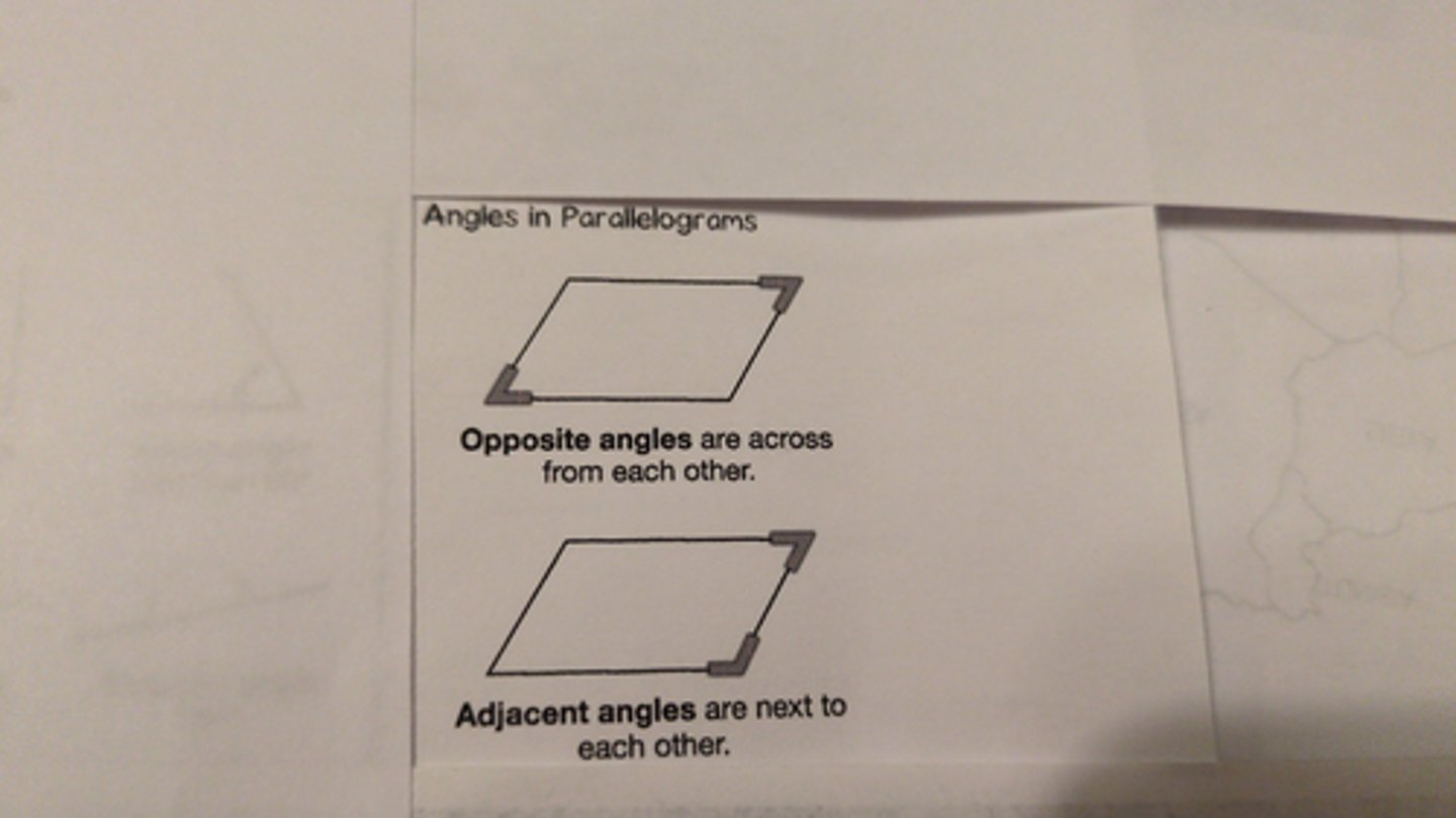 <p>opposite (across from each other) or adjacent (next to each other)</p>