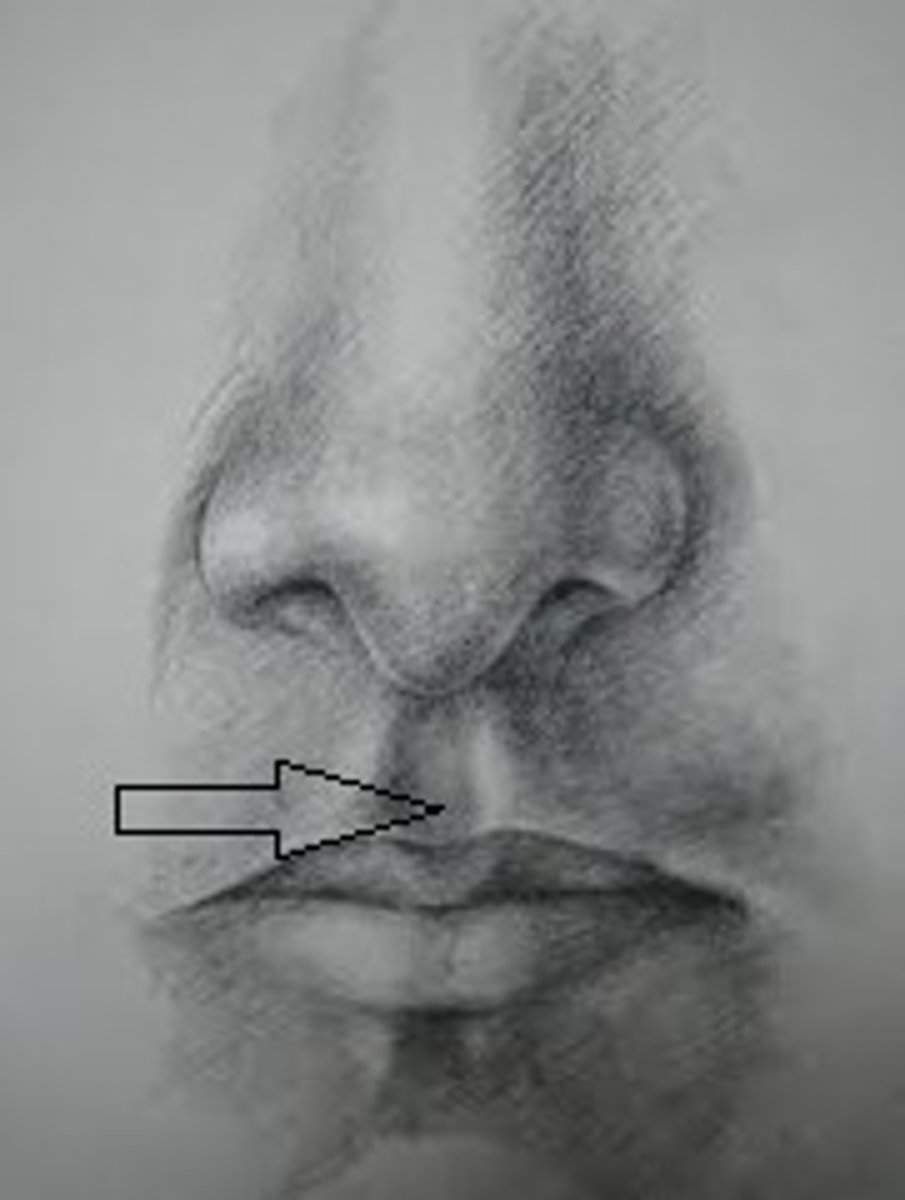 <p>What is this?</p>