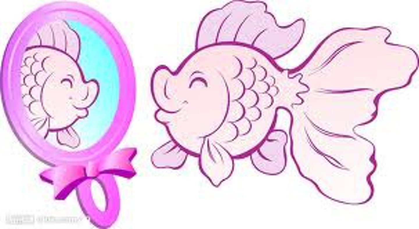 <p>jìng zi - mirror</p>