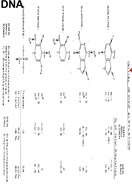 <p>69% of the time adds to G-N7</p>