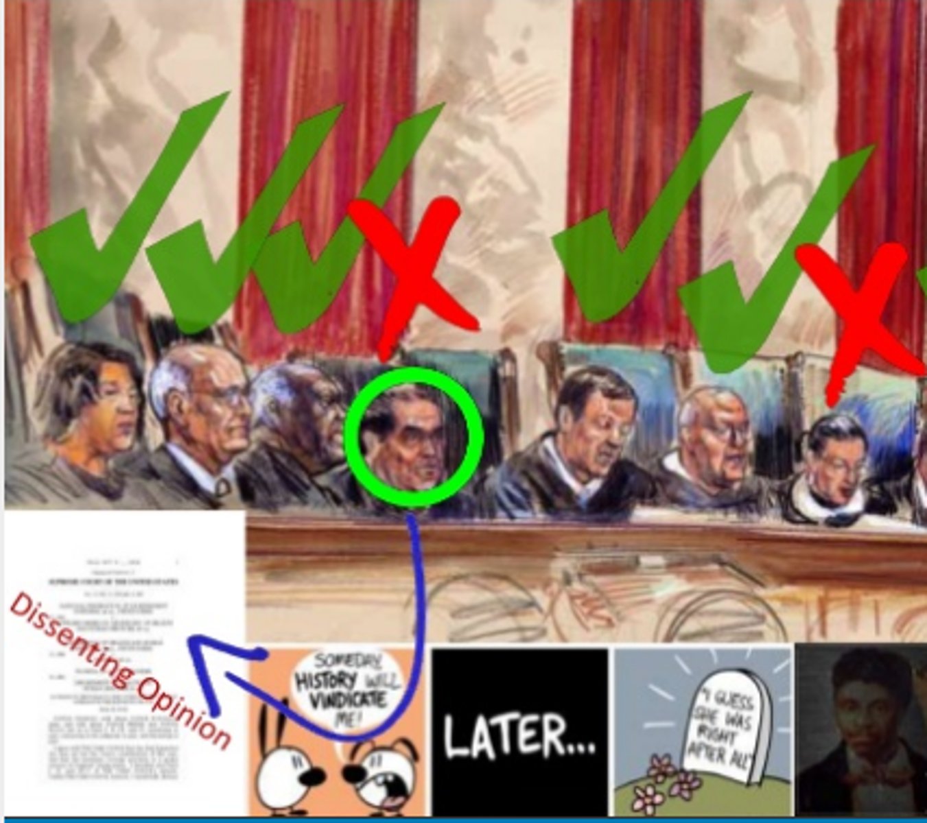 <p>a signed opinion in which one or more justices disagree with the majority view</p>