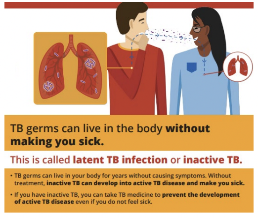 <p>TB: Globally, one of the most important causes of death due to infectious disease </p><p>• Globally, the estimated number of deaths from TB increased between 2019 and 2021 </p><p>• Seen in all countries </p><p>• Each year: about 9 million people develop active TB and 1.5 million die of TB </p><p>• Up to 13 million people in the US have latent TB </p><p>• TB is among the most frequent causes of death in females aged 15 to 44 </p><p>• TB is responsible for one-third of all HIV- related deaths</p>