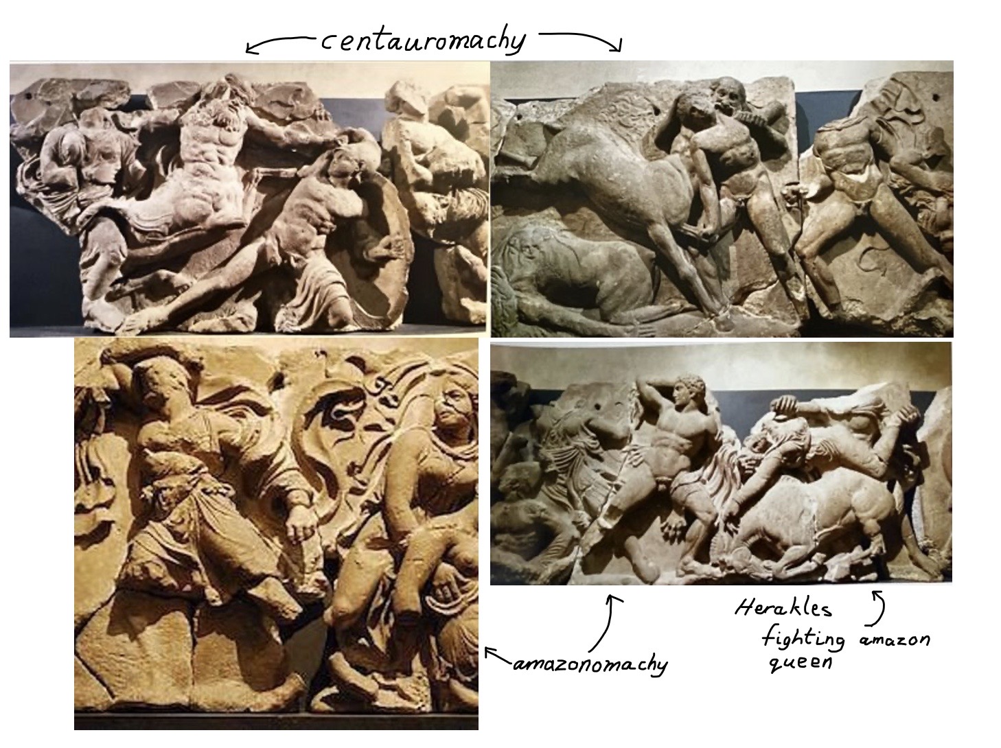 General Facts:​

* Built probably between the 450-425 BC​
* Dedicated to Apollo following a plague ​
* The frieze is 3 metres in length and 0.63 metres in height ​
* It would’ve stood 7 metres above the ground and was carved in high relief

\
(top left of image)

* Another moment in the frieze emphasises the beastliness of the centaurs ​
* A feature we have seen both in Olympia and in the Parthenon metope 27 ​
* In this scene the centaur is extended grabbing a lapith women with his right arm and punching a lapith soldier with his left​
* However, the lapith may still bring his shield before him to attack 

(top right of image)

* Another scene shows a centaur which has galloped over a dead centaur’s body and is biting the neck of an attacking lapith ​

(bottom left of image)

* This frieze shows three amazon women, each at a different stage of battle ​
* The one on the left is fighting off a man while the central figure is lifting and supporting a dying Amazon who lies in her arms​
* Between the figures their drapery is seen billowing in the wind filling the and providing a dramatic backdrop​

(bottom right of image)

* On the left side a man amazon woman prepare to fight ​
* To the right of the slab, an Amazon woman lies over a collapsing horse 