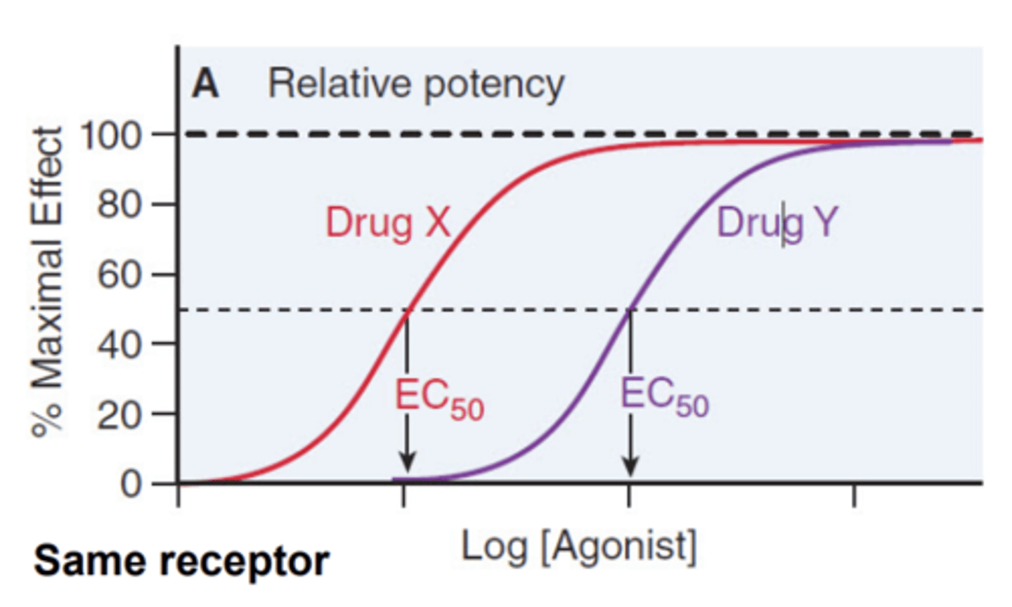 <p>Drug X is more potent</p><p>- its EC50 occurs with less amount of drug</p>