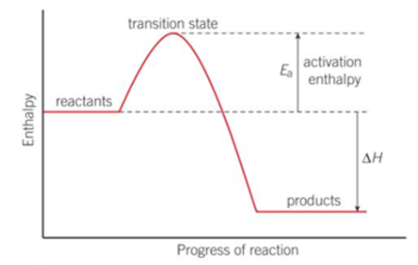 <p>The reaction progress against time</p>