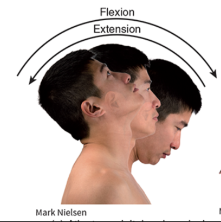 <p>tilt all the way to the back </p>