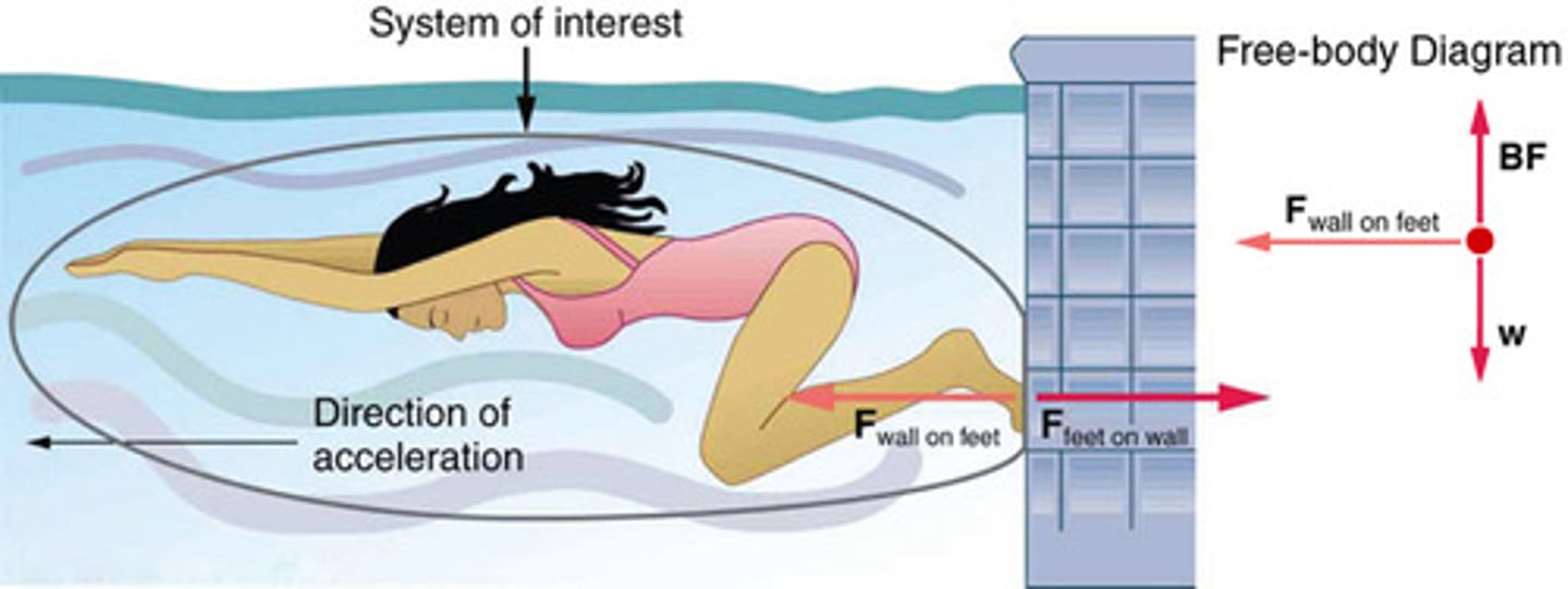 <p>Whenever one body exerts a force on a second body, the first body experiences a force that is equal in magnitude and opposite in direction to the force that it exerts.</p>