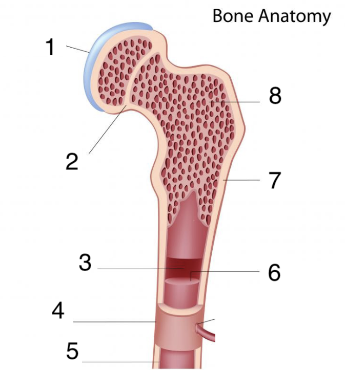 <p>What is #6?</p>