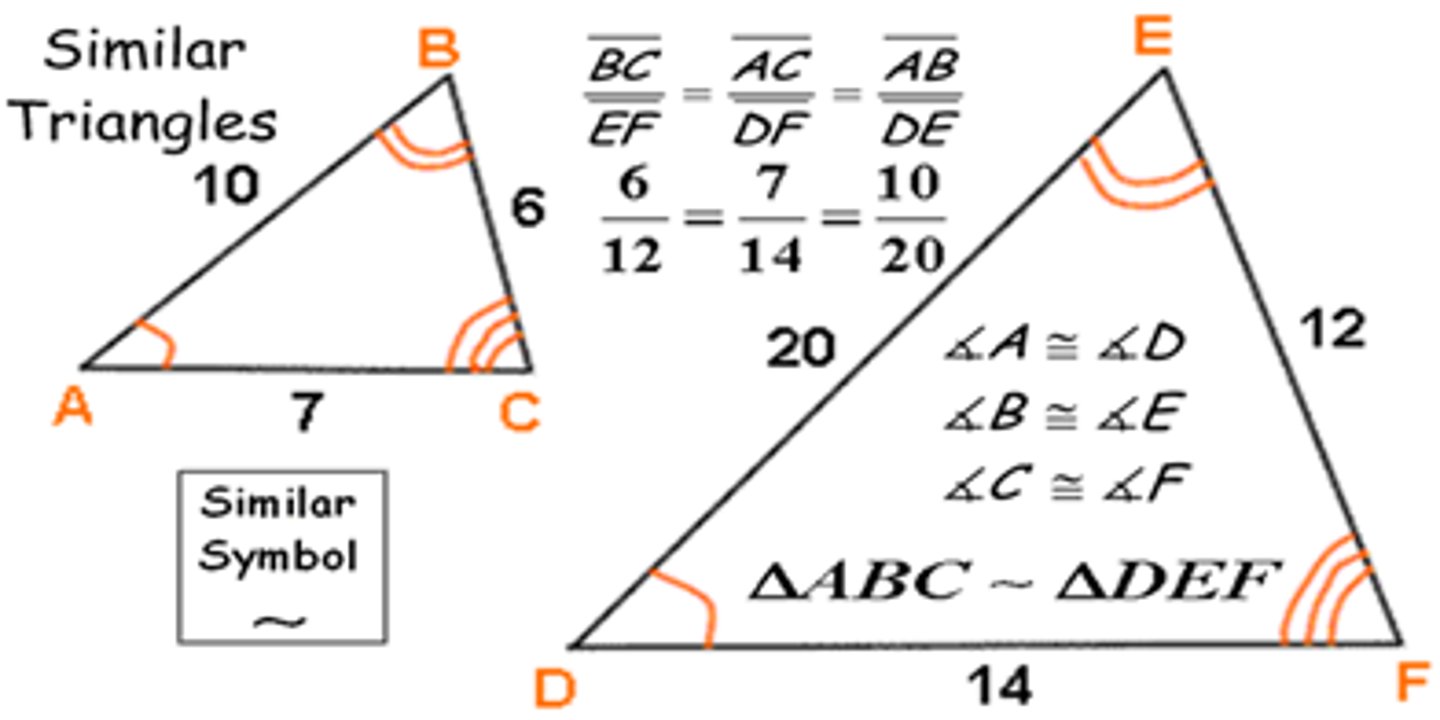 <p>angles in similar (∼) triangles are congruent.</p><p>sides are in proportion.</p><p>angles are in a proportion of one to one. (1:1)</p>