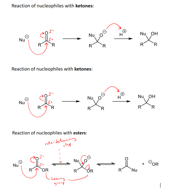 <ul><li><p>ketones react with nucleophiles under nucleophilic addition reactions </p></li><li><p>Esters react with nucleophiles under a nucleophilic substitution reaction - the OR group is removed and replaced with the nucleophile, leaving the carbonyl on </p></li><li><p>Carboxylic acids react under competitive deprotonation to form RCOO- and NuH - although nucleophilic acyl substitution can occur sometimes </p></li></ul><p></p>