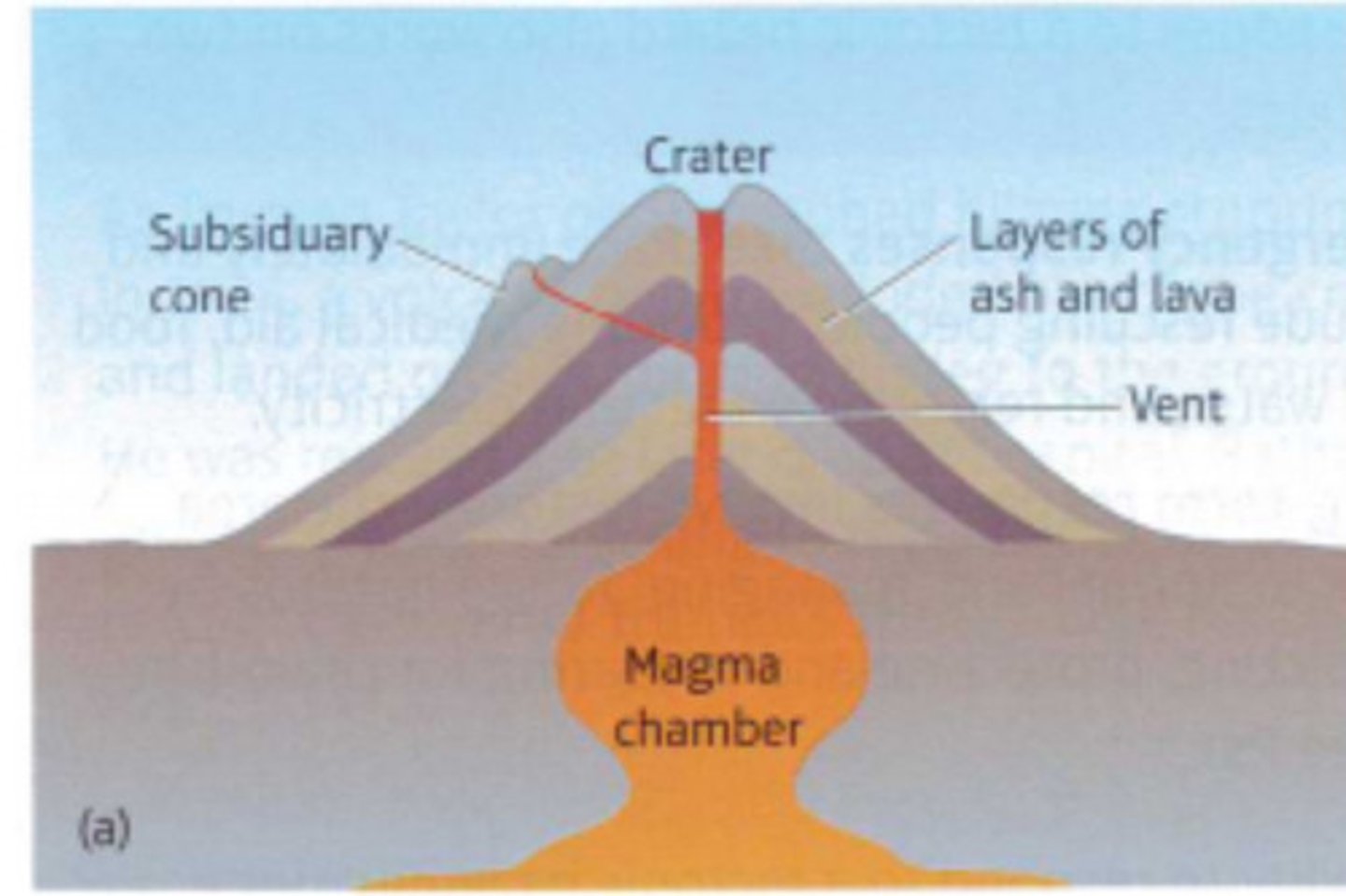 <p>- tall, steep slopes,</p><p>- narrow base,</p><p>- layers of ash and lava.</p>