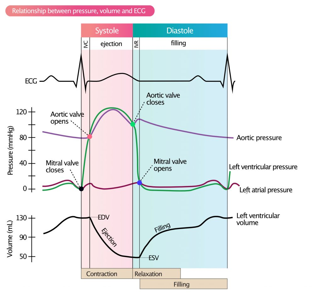 <p>Left Atrium Pressure</p>
