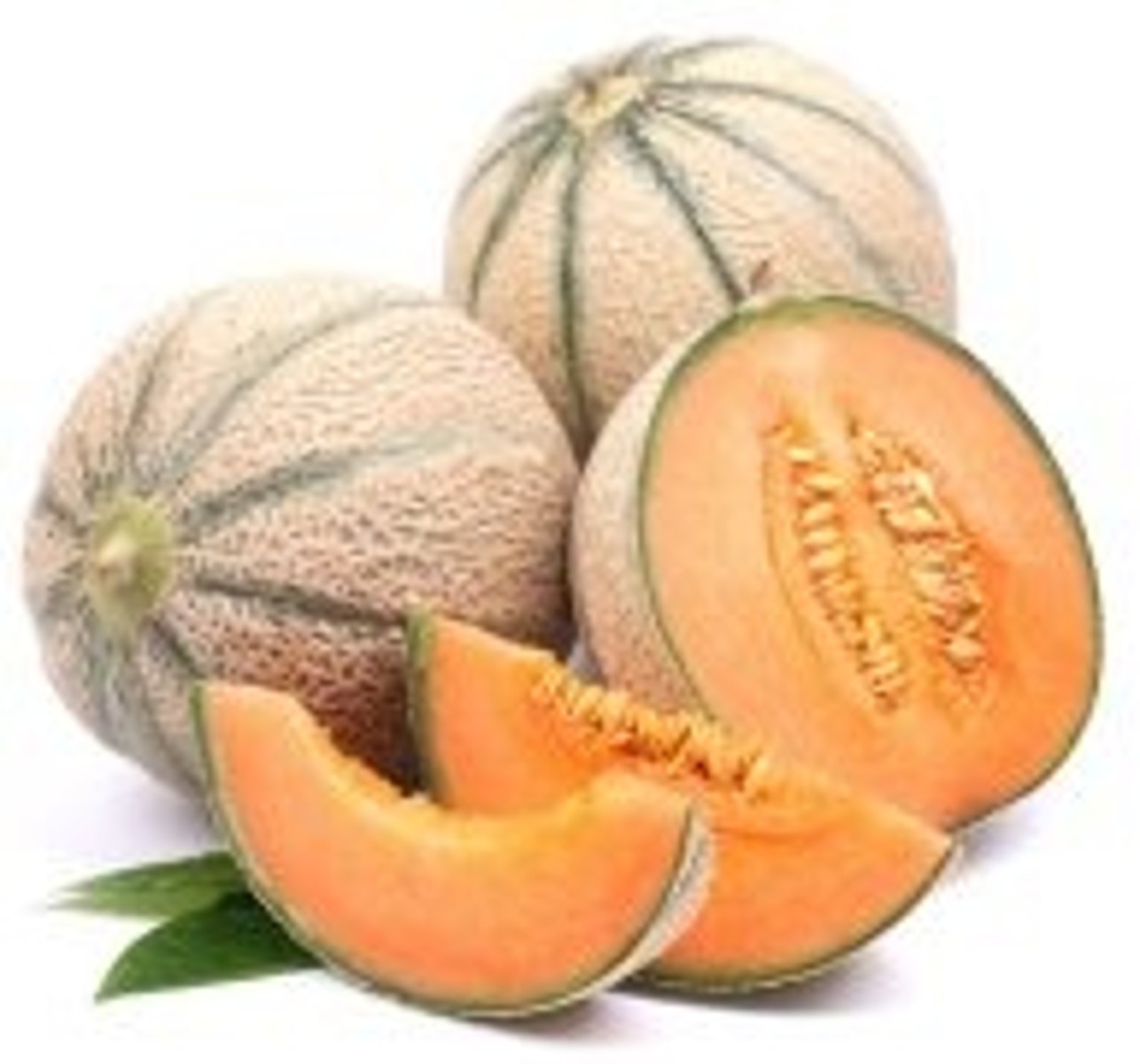 <p>melon (guā)</p>