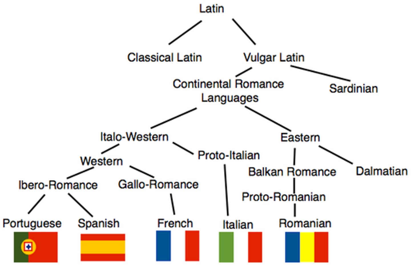 <p>from Latin and include: French, Italian, and Spanish (from Roman Empire)</p>