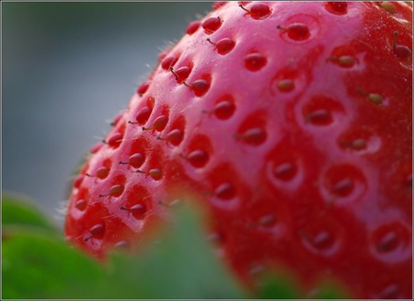 <p>fresh (xīn xiān)</p>