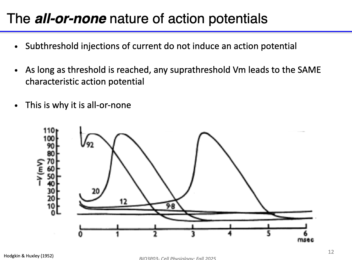 <ul><li><p><strong>Subthreshold currents:</strong> no AP generated</p></li><li><p>Once <strong>threshold is reached</strong>, AP always occurs</p></li><li><p><strong>Size and shape</strong> of AP remain <strong>the same</strong>, regardless of stimulus size (as long as above threshold)</p></li><li><p>Difference is in <strong>speed</strong> of AP</p></li></ul><p></p>