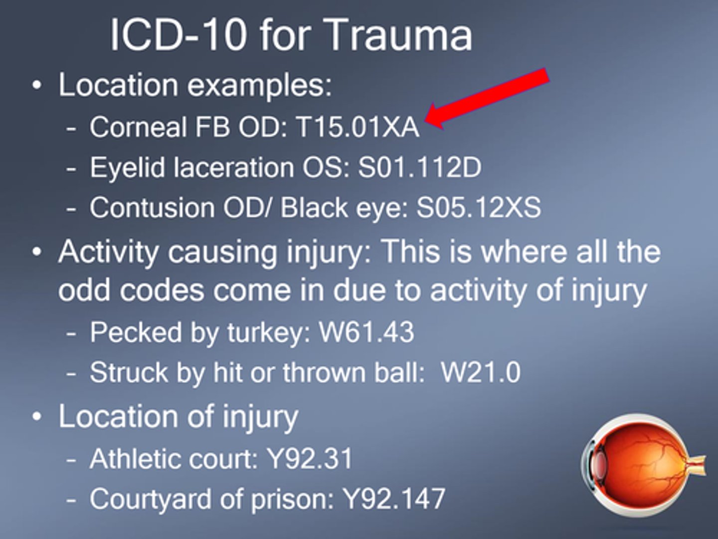 <p>the injury and eye = corneal FB, eyelid laceration, contusion</p><p>how it happened = pecked by turkey, struck by a ball</p><p>where it happened = athletic court, courtyard of prison</p>