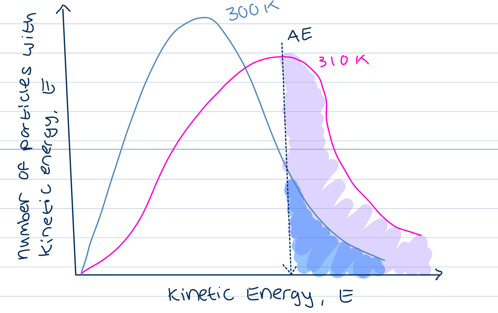 <p>Increase in temp causes increase in KE of particles </p><p>Compare the same sample of particles at two different temperatures </p><p>Area under the curves the same, same number of particles </p><p>AT higher temperature, more particles have higher KE, peak of curve shifts to the right </p><p>Shift increases proportion of particles that have KE greater than AE </p><p>As temperature increases there is an increase in collision frequency due to increase in KE, but also an increase in collisions involving particles with AE needed to have successful collisions, so increase ROR </p>