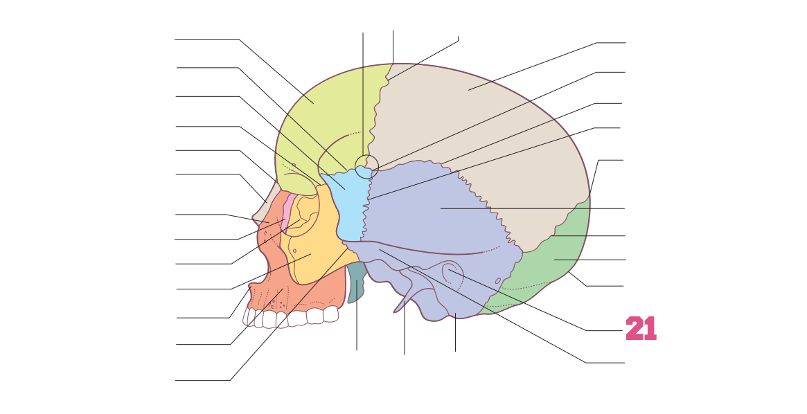 <p>21</p>