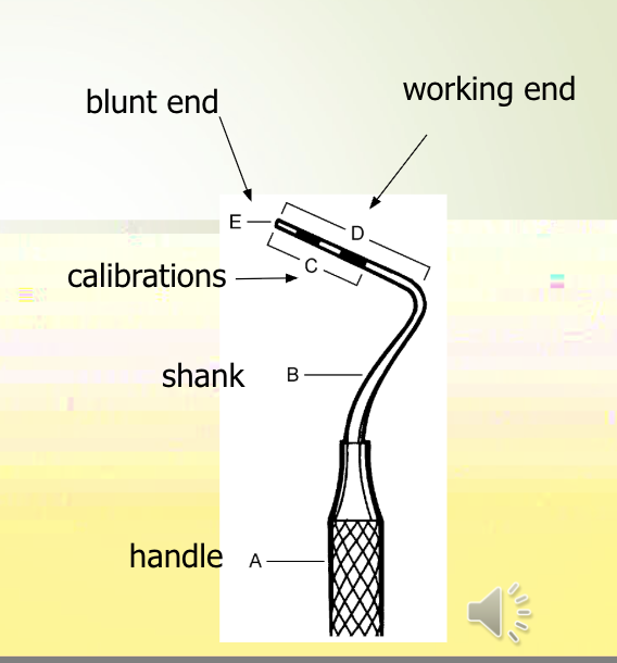 <p>parts of the probe&nbsp;</p><p></p>