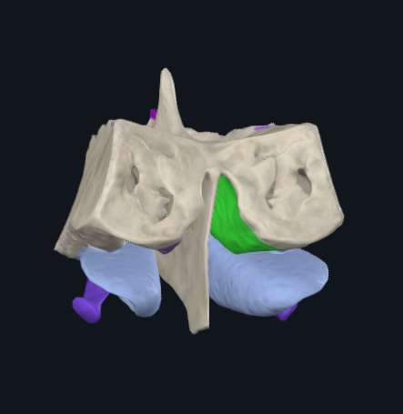 <p>What is highlighted in green</p>