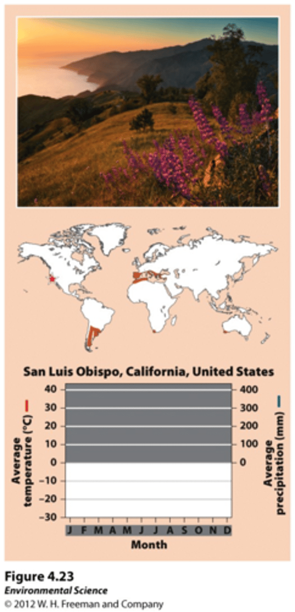 <p>Hot dry summers with mild, rainy winters. 12 month growing period, but relatively low precipitation in summer, and lower temperature in winter limit plant growth. Plants here must be adapted to both fires and drought (sagebrush, scrub oak, and shrubs).<br><br>High rain in winter = leaching of nutrients = low nutrient soil</p>