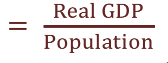 <p>A country’s real GDP divided by its population size</p>