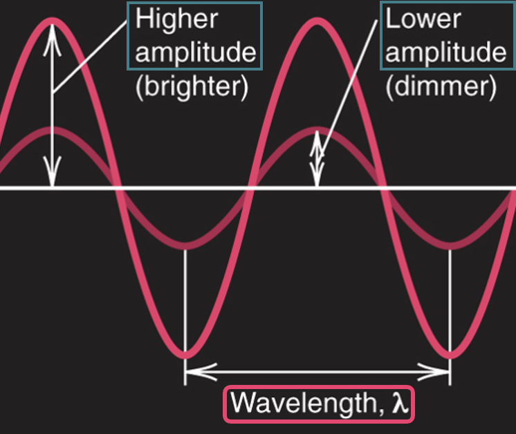 <ul><li><p><strong>frequency</strong> (ν, <em>nu</em>)</p><ul><li><p>cycles per second (1 / s)</p></li></ul></li><li><p><strong>wavelength</strong> (λ, <em>lambda</em>)</p><ul><li><p>the distance a wave travels in one cycle; the distance between adjacent wave peaks</p></li></ul></li><li><p><strong>amplitude</strong></p><ul><li><p>the height of a wave crest or depth of a trough</p></li></ul></li></ul>