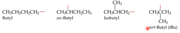 <ol><li><p>Butyl</p></li><li><p><em>sec</em>-Butyl</p></li><li><p>Isobutyl</p></li><li><p><em>tert</em>-Butyl (tBu)</p></li></ol>