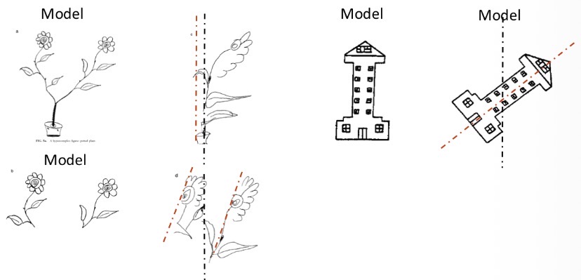<p>Can be objects-based. When patients draw they look at the image and draw it from memory.</p>