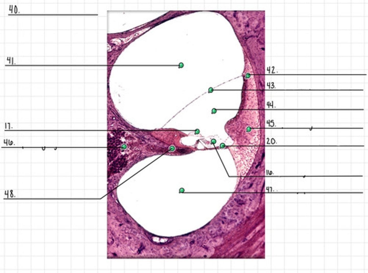 <p>48</p>